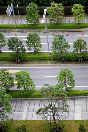 法人向けのカーリースなどについて